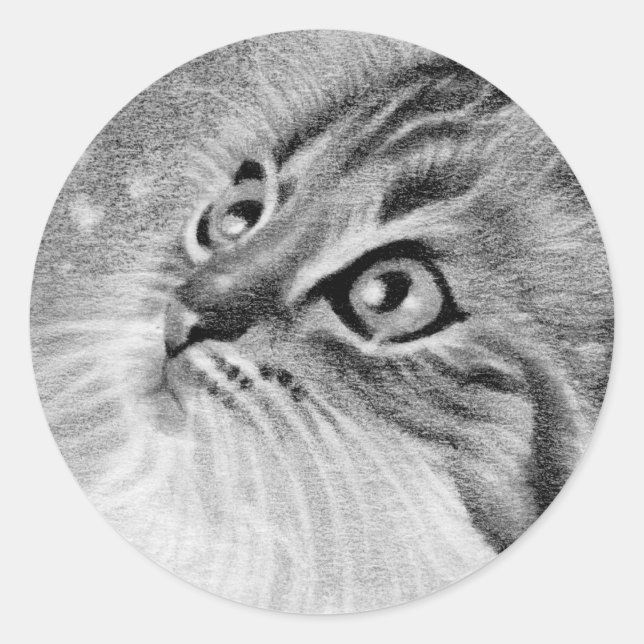 Sticker Rond Let's snow Kitty Cat (Devant)