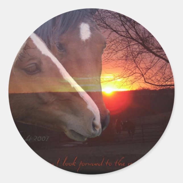 Sticker Rond Levée de soleil des chevaux (Devant)