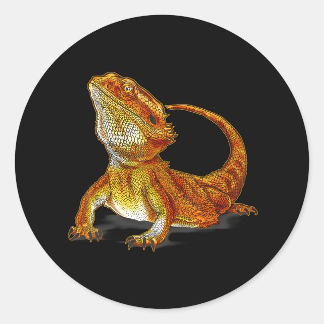 Sticker Rond Lézard Dragon Lézard Terraristique Animaux sauvage (Devant)