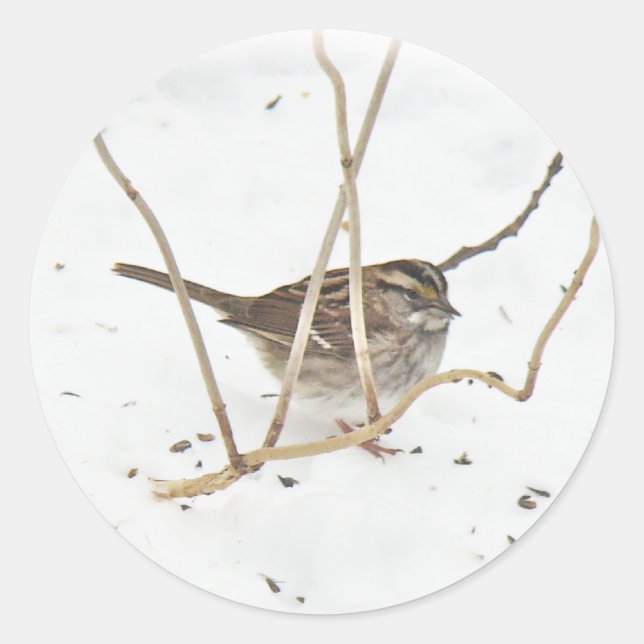 Sticker Rond L'hiver et le Bruant (Devant)