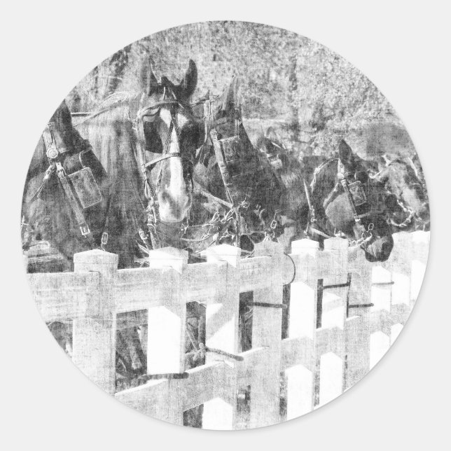 Sticker Rond Ligne de Chevaux Amish Noir et blanc (Devant)