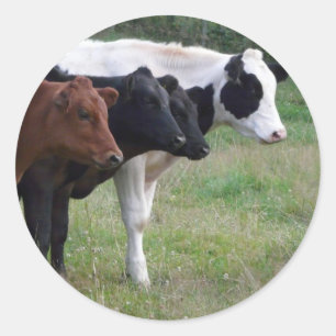 Sticker Rond Lignes d'une ligne