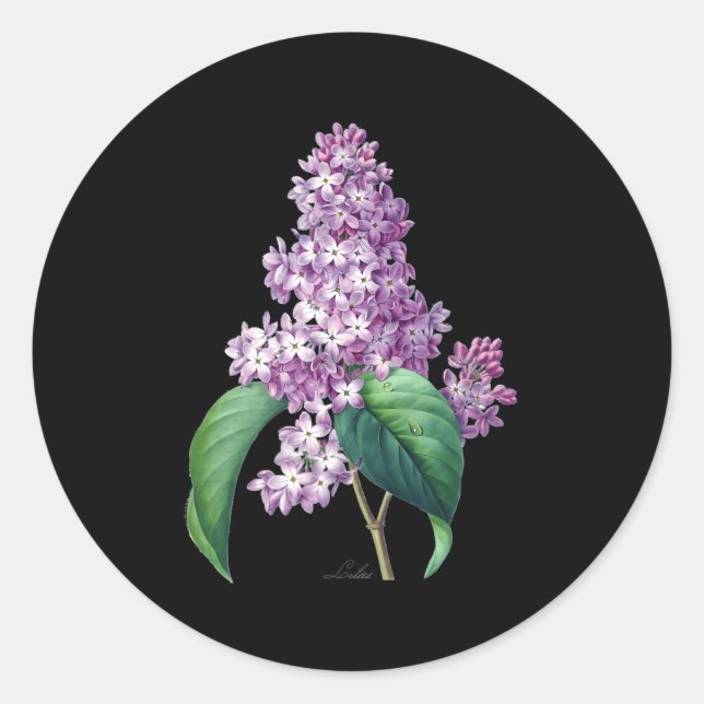 Sticker Rond Lilac Fleur Botanique Pour Gardeners (Devant)