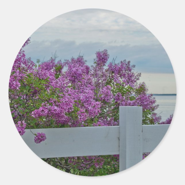 Sticker Rond Lilas par l'eau (Devant)