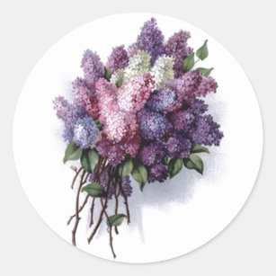 Sticker Rond Lilas vintages