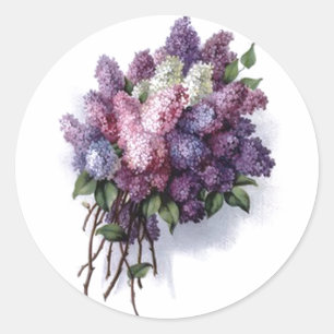 Sticker Rond Lilas vintages