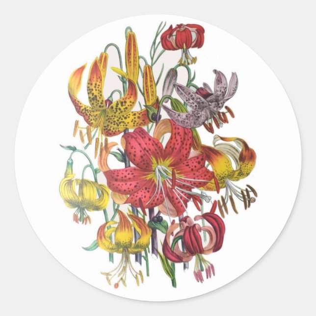 Sticker Rond Lilies (Devant)