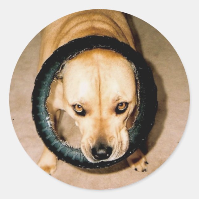 Sticker Rond Lilo dans le Tyr (Devant)