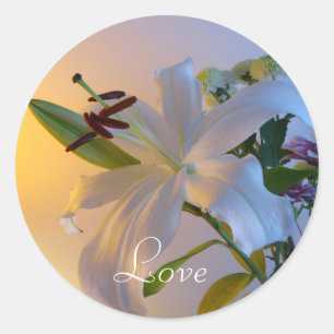Sticker Rond Lily blanche, fleur.