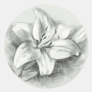 Sticker rond Lily Dessin