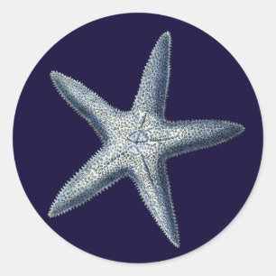 Sticker Rond L'indigo écosse IV