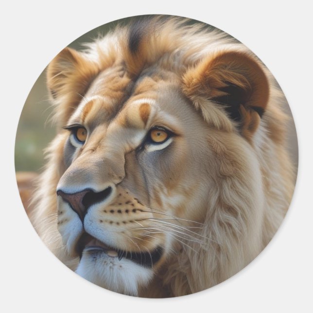 Sticker Rond Lion (Devant)