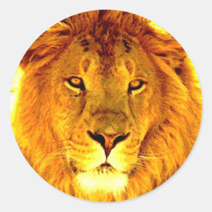 Sticker Rond Lion