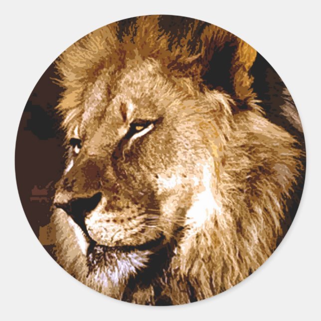 Sticker Rond Lion africain (Devant)