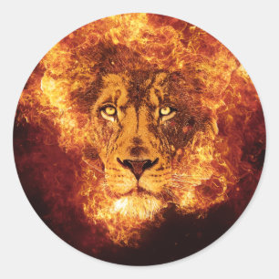 Sticker Rond Lion flamand de Juda