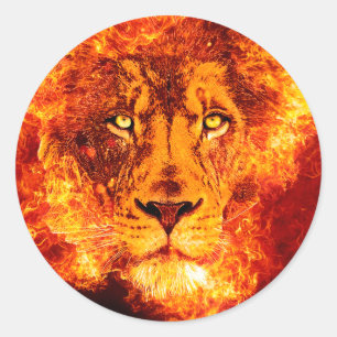 Sticker Rond Lion flamand de Judah