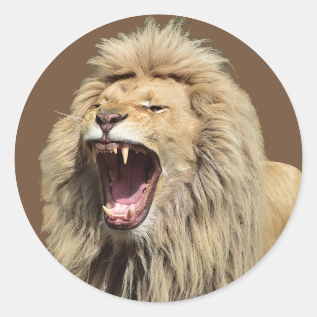 Sticker Rond Lion haute tension (Devant)