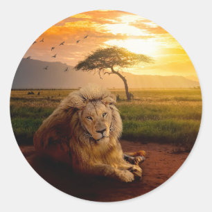 Sticker Rond Lion majestueux en Afrique au coucher du soleil