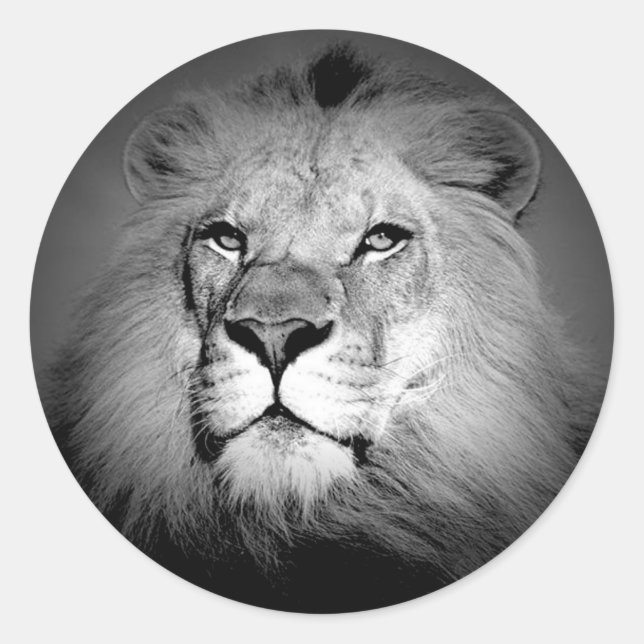 Sticker Rond Lion noir et blanc (Devant)