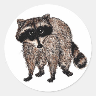 Sticker Rond Little Raccoon