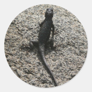 Sticker Rond Lizard noir