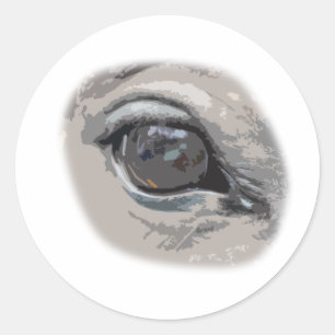 Sticker Rond L'oeil du cheval gris simple