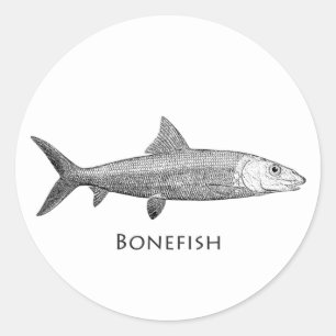 Sticker Rond Logo Bonefish