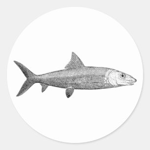 Sticker Rond Logo de Bonefish