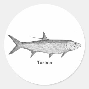 Sticker Rond Logo de tarpon (schéma)