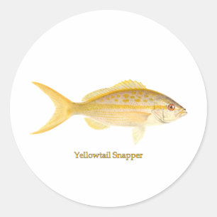 Sticker Rond Logo de Yellowtail Snapper