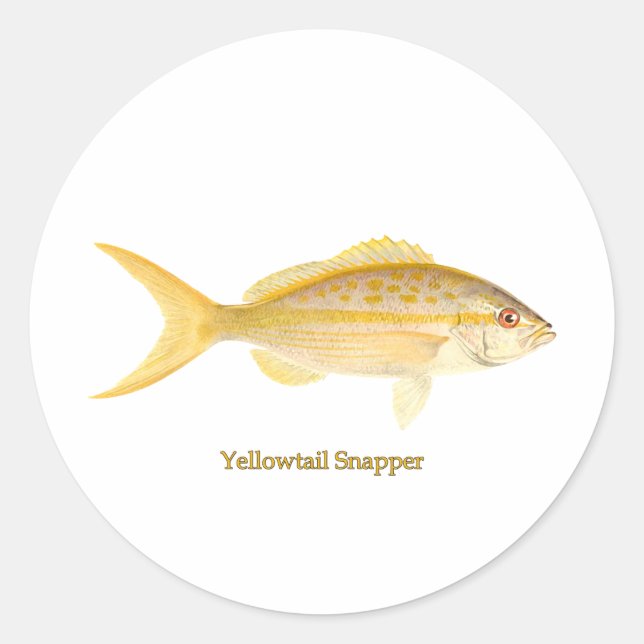 Sticker Rond Logo de Yellowtail Snapper (Devant)