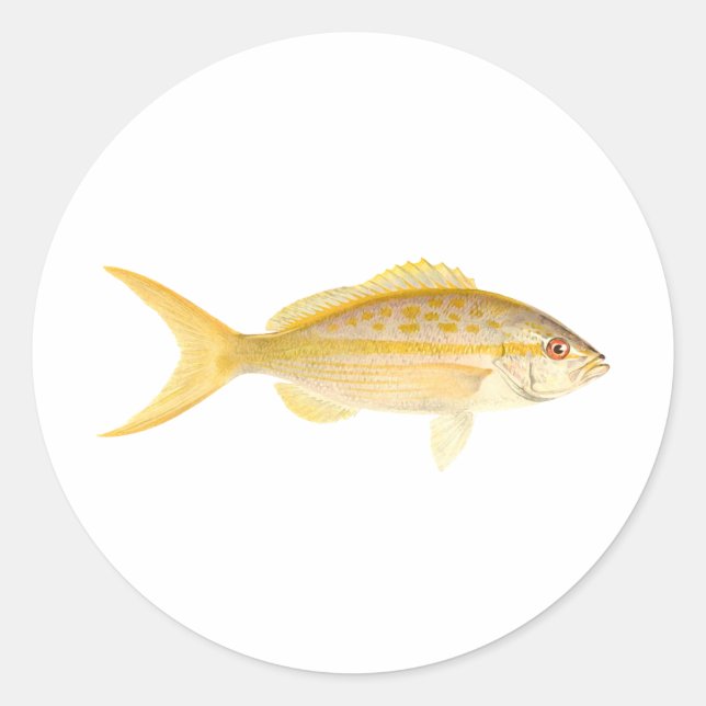 Sticker Rond Logo de Yellowtail Snapper (Devant)