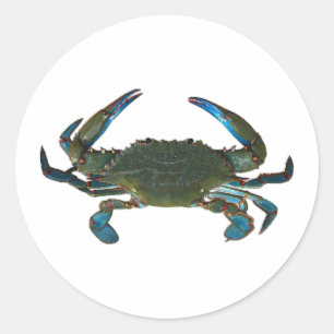 Sticker Rond Logo du crabe bleu de l'Atlantique