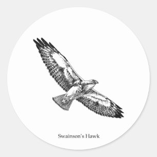 Sticker Rond Logo du faucon de Swainson (intitulé)