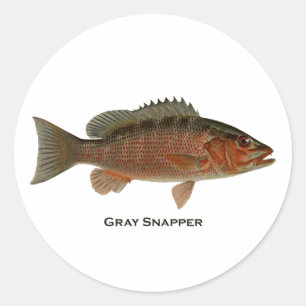 Sticker Rond Logo du logiciel Snapper gris