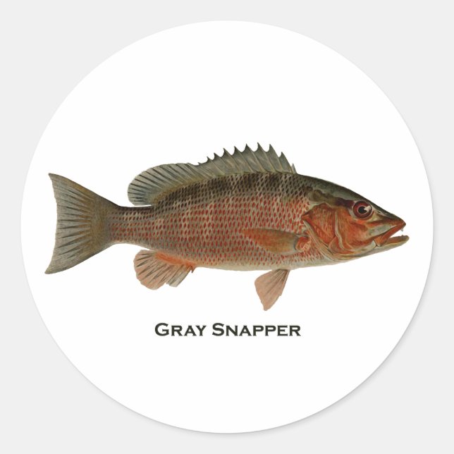 Sticker Rond Logo du logiciel Snapper gris (Devant)