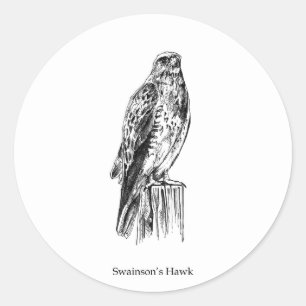 Sticker Rond Logo Swainson's Hawk (perché)
