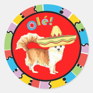Sticker Rond Long chiwawa de manteau de fiesta