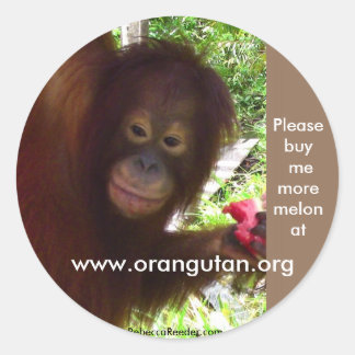 Sticker Rond L'orangoutan fait l'apogée de la pastèque