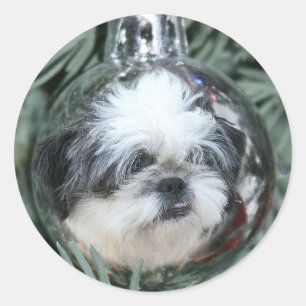 Sticker Rond L'ornement de Noël de Shih Tzu