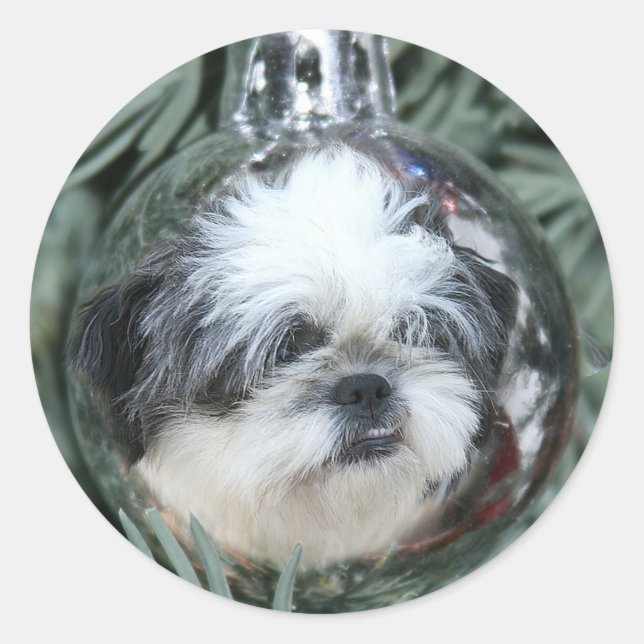 Sticker Rond L'ornement de Noël de Shih Tzu (Devant)
