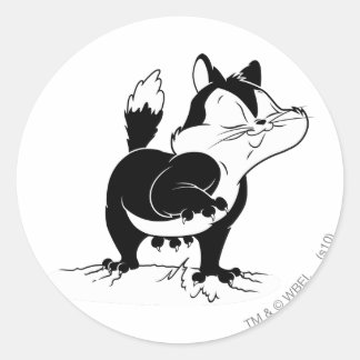 Sticker Rond Lots de Pussyfoot