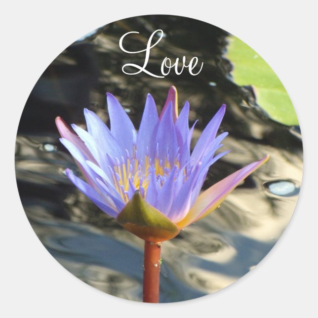 Sticker Rond Lotus d'amour (Devant)