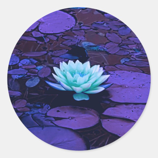 Sticker Rond Lotus Fleur violet bleu Turquoise Floral Pond Zen (Devant)