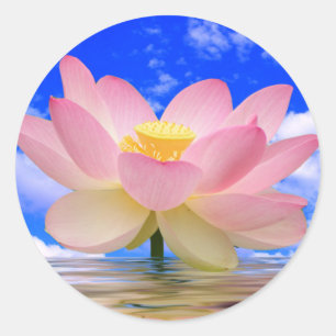 Sticker Rond Lotus Flower né dans l'eau
