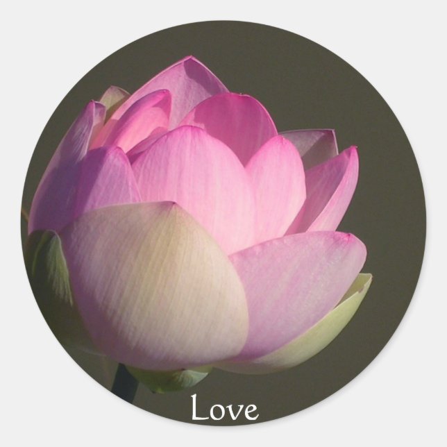 Sticker Rond Lotus Love (Devant)