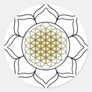Sticker Rond Lotus White2