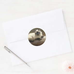 Sticker Rond Lounger Siamese Kitten