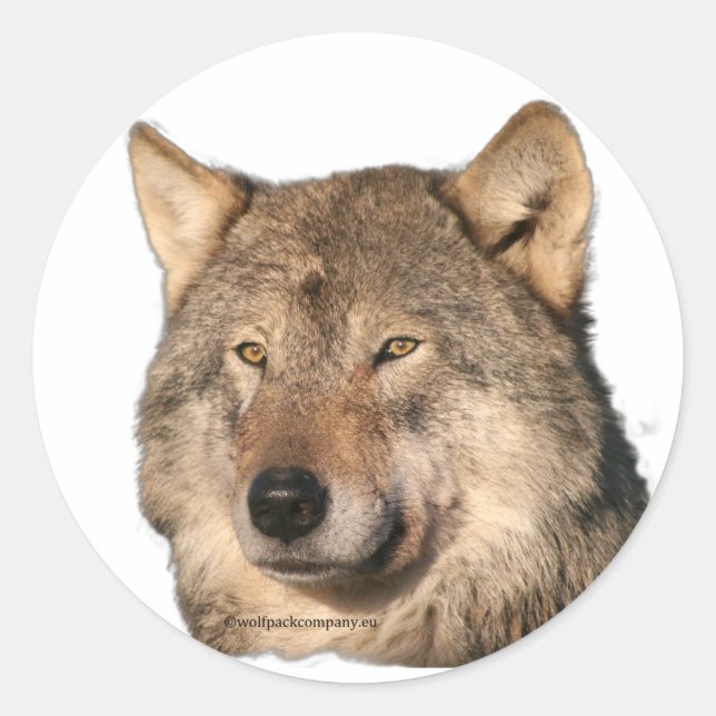 Sticker Rond loup (Devant)