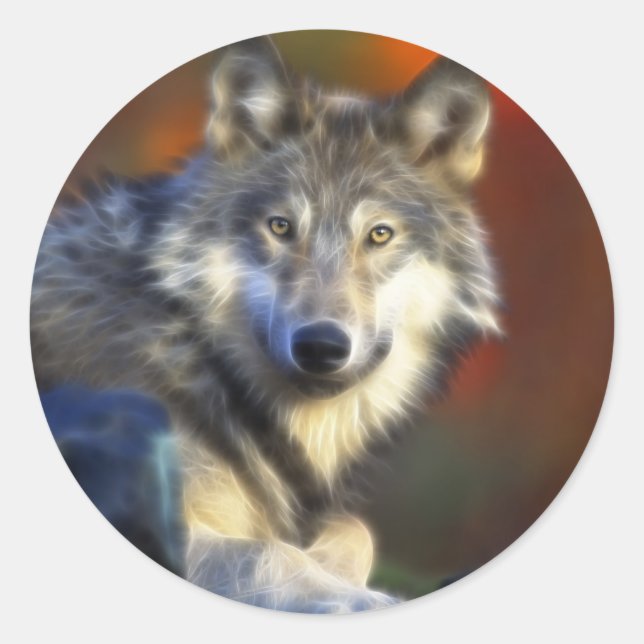 Sticker Rond Loup gris, Espèces menacées Photographie numérique (Devant)